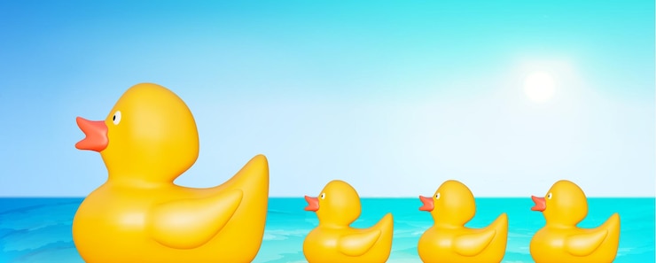 Vector pato de verano