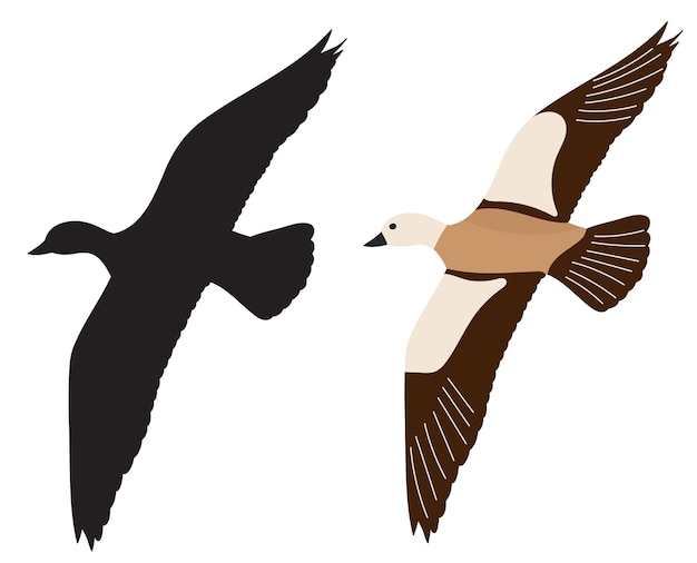 pato volando sobre un vector de fondo blanco
