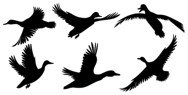 Patos volando conjunto silueta vector aislado