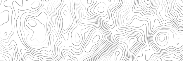 patrón abstracto con líneas y curvas en un fondo blanco