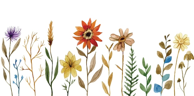 patrón de acuarela borde sin costuras de flores silvestres secas hierbas y hojas herbario de otoño boho