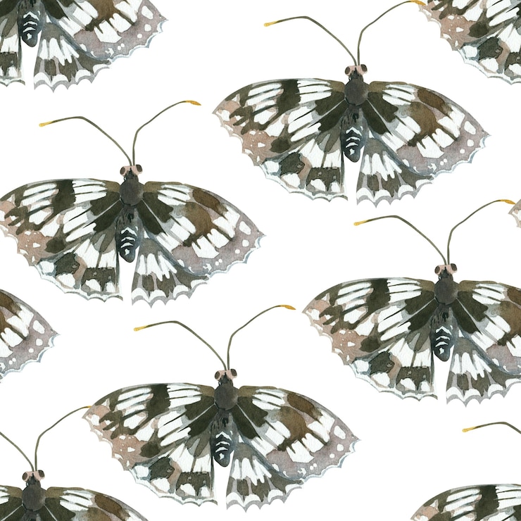 Vector patrón de acuarela sin costuras insectos mariposas en blanco y negro dibujado a mano con acuarela y