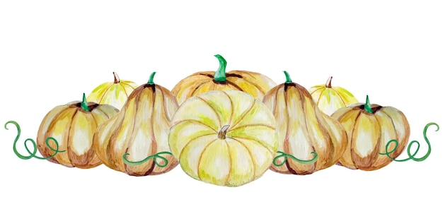 Patrón de acuarela horizontal de calabazasCosecha Regalos de otoño Ilustración vectorial