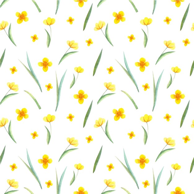 Patrón de acuarela transparente de flores flores y hojas sobre un fondo blanco