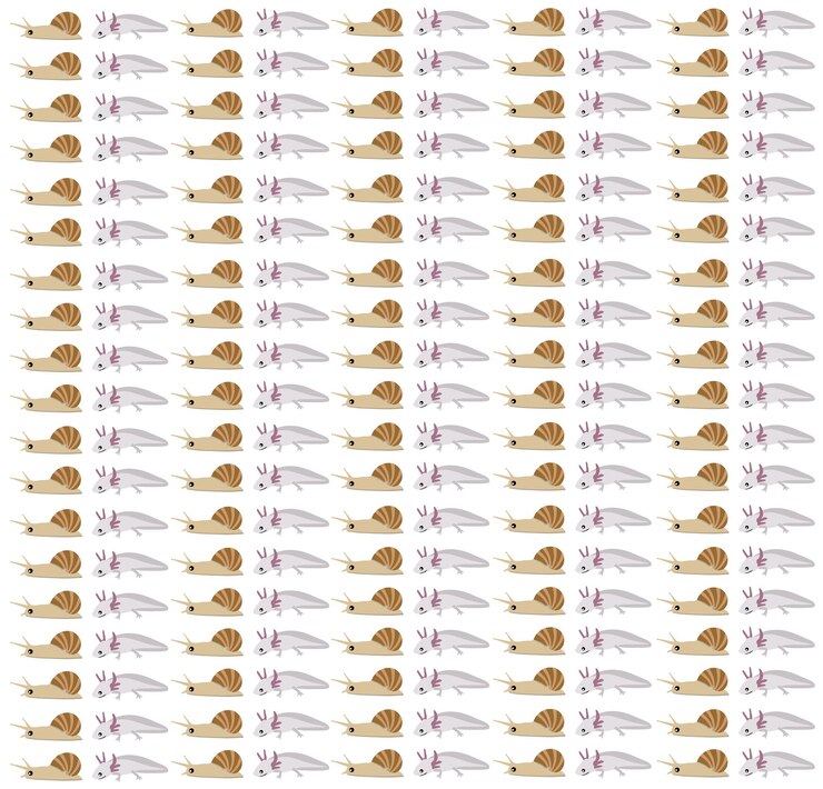 Vector el patrón del axolotl y el caracol