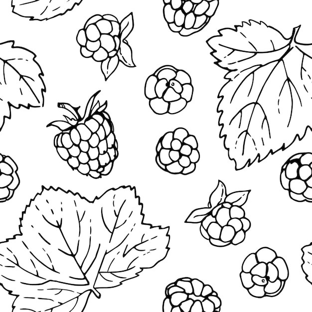 Patrón de bayas y hojas vectoriales Línea pintada de bayas silvestres sobre un fondo blanco
