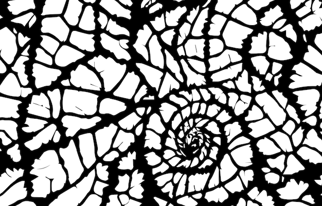 Patrón blanco y negro Textura abstracta Diseño de fondo abstracto Ilustración vectorial