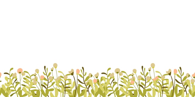 Patrón botánico sin costuras dibujado a mano con fondo blanco con borde vegetal vector de estilo minimalista