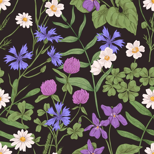 Patrón botánico sin costuras con hierbas silvestres Fondo floral realista vintage con plantas de flores de prado Textura de hierbas Telón de fondo repetible sin fin en estilo retro Ilustración vectorial dibujada a mano
