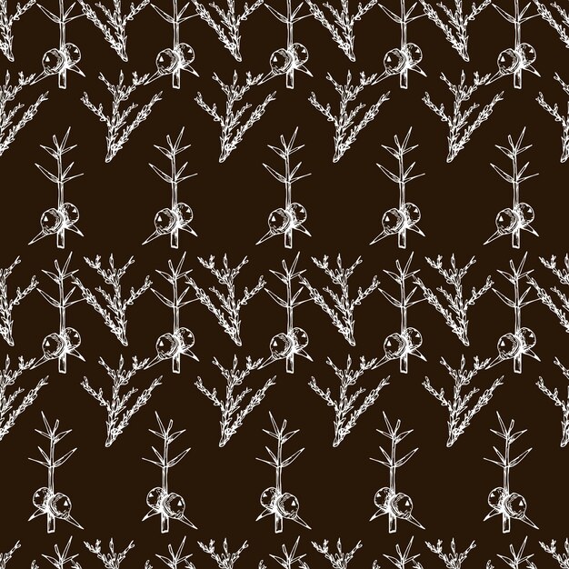 Patrón botánico sin fisuras en estilo vintage varias hojas de helechos conos cola de caballo cálamo sembrar cardo trigo hierba acebo vector grabado ilustración en blanco y negro