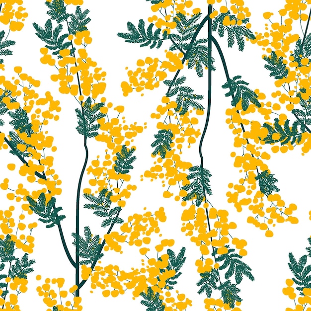 Patrón botánico sin fisuras con flores de mimosa amarillas y hojas sobre un fondo blanco.