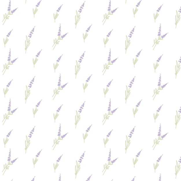Patrón de los campos de lavanda