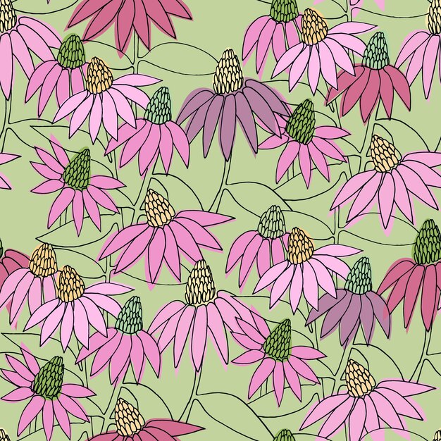 Patrón colorido sin costuras con flores de Echinacea dibujadas a mano para diseño de superficies y otros proyectos de diseño