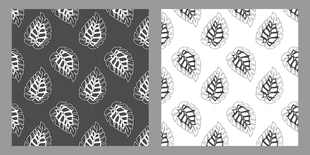 Patrón de conjunto blanco y negro de hojas tropicales de monstera Doodle dibujado a mano