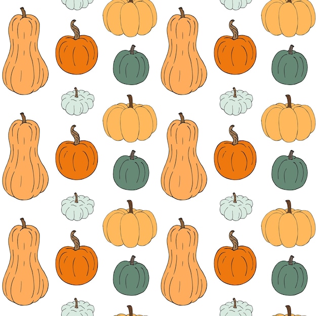 Patrón sin costura vectorial de calabaza dibujada a mano