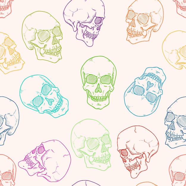 Patrón sin costura vectorial de calaveras de boceto sobre fondo blanco