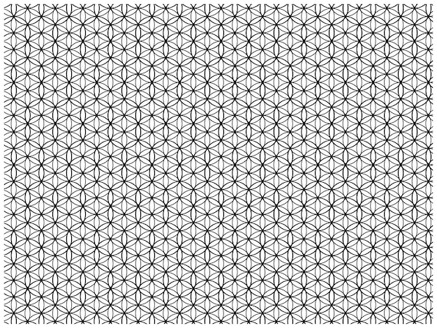 un patrón sin costuras abstracto en blanco y negro con elementos geométricos