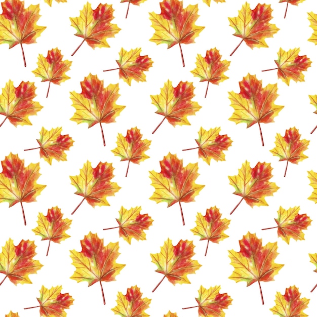 Patrón sin costuras de acuarela colorida con hermosas hojas caídas de otoño Fondo de otoño