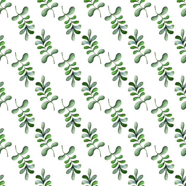 Patrón sin costuras de acuarela con hierbas y flores Fondo floral romántico Diseño de tela