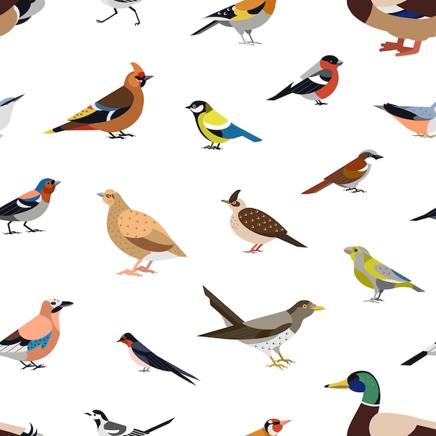 Patrón sin costuras con aves silvestres de bosque en fondo blanco telón de fondo con aves Ilustración vectorial ornitológica en estilo plano geométrico moderno para envolver papel papel impreso papel tapiz