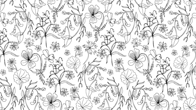 patrón sin costuras en blanco y negro con flores silvestres