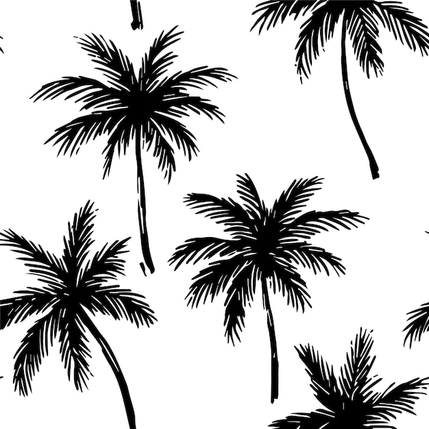 Patrón sin costuras en blanco y negro con palma Fondo tropical