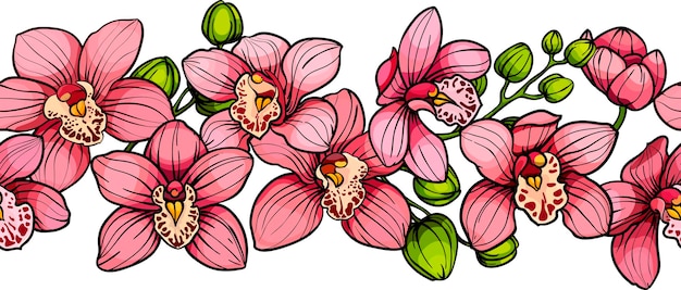 Vector patrón sin costuras de bordes horizontales de flores de orquídeas rosadas