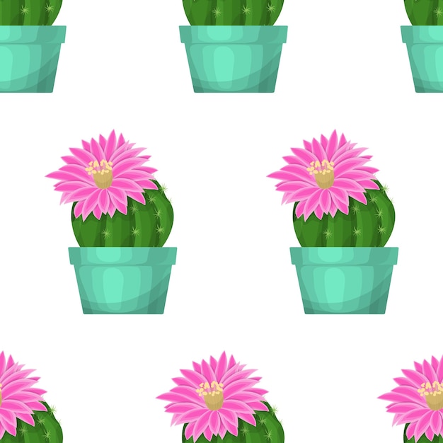 Patrón sin costuras de cactus vectoriales