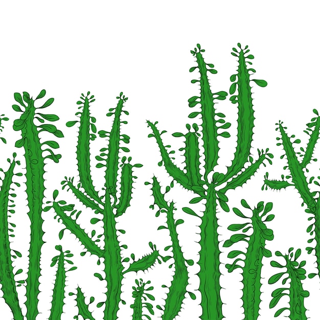 Patrón sin costuras con cactus verde sobre un fondo blanco borde dibujado a mano.