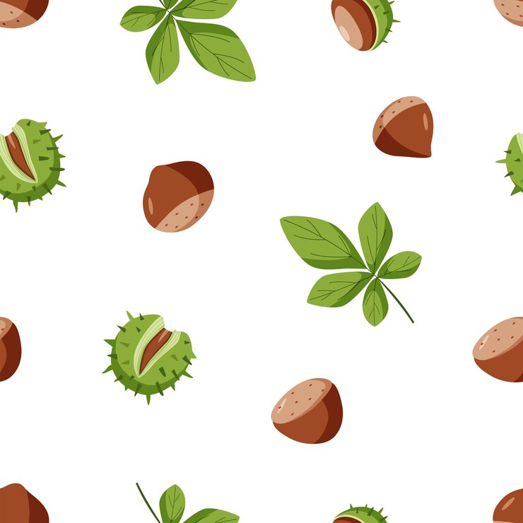 Patrón sin costuras Castaño conjunto ilustración vectorial Dibujo de dibujos animados de castañas con cáscara y hojas