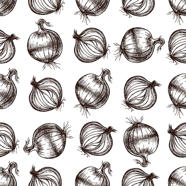 Patrón sin costuras con cebollas dibujadas a mano en estilo boceto grabado vintage