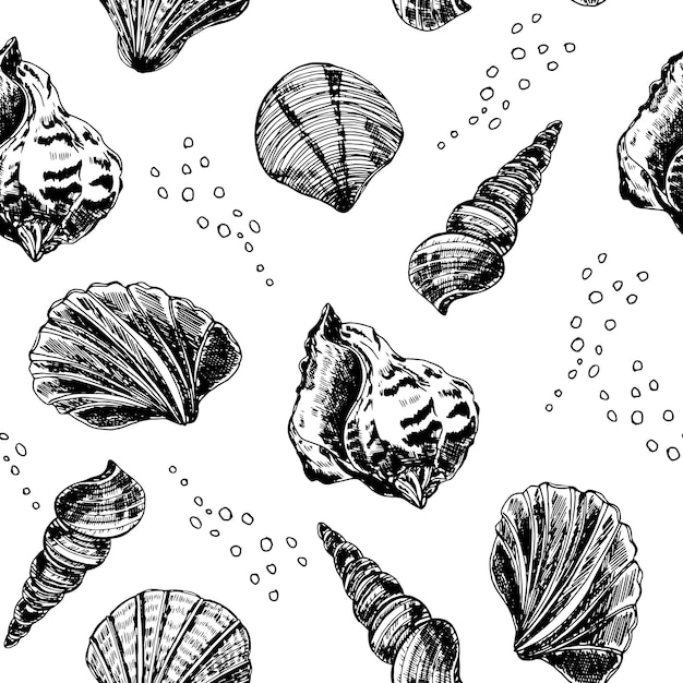 Patrón sin costuras con conchas dibujadas a mano Fondo con conchas marinas