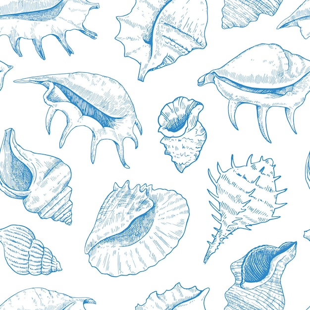 Patrón sin costuras con conchas ilustraciones detalladas en tinta en blanco y negro para el diseño
