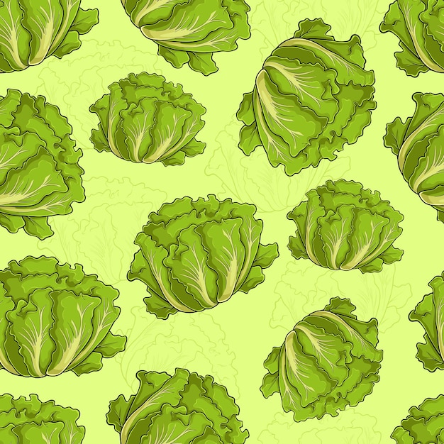 Patrón sin costuras dibujado a mano de hojas de lechuga verde orgánica fresca y saludable para una buena nutrición