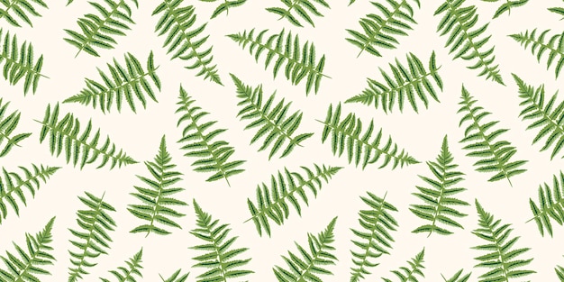 Patrón sin costuras con dibujo vector de hoja de helecho dibujado a mano Diseño de adornos de hojas de plantas