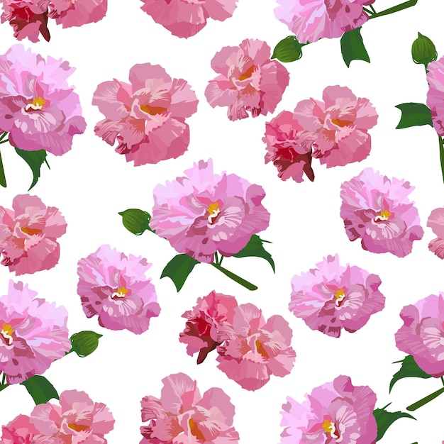 Vector un patrón sin costuras de flores de rosa de algodón ilustración vectorial