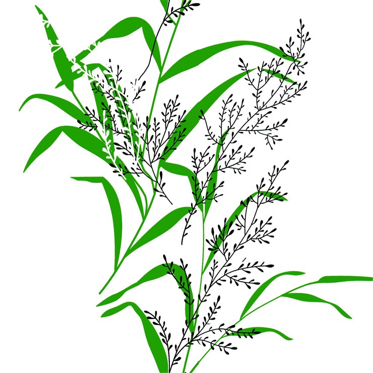 Vector patrón sin costuras con flores