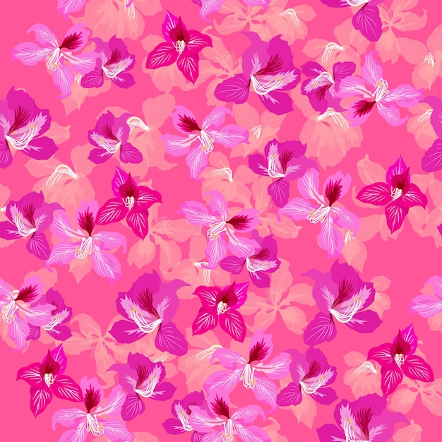 Un patrón sin costuras de fondo de flor de ilustración de vector de flor de Bauhinia colorido