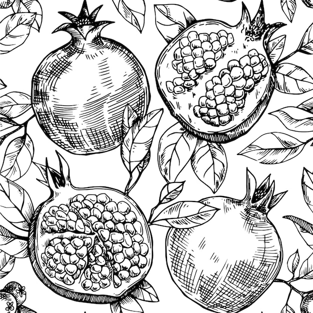 Vector patrón sin costuras de frutas y hojas de granada patrón vectorial en dibujo a mano de estilo boceto