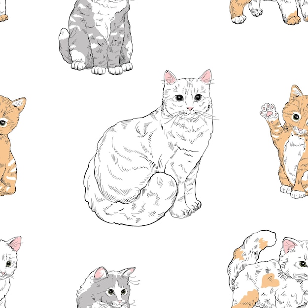 Patrón sin costuras con un gato y lindos gatitos de estilos de garabatos de color rojo gris blanco