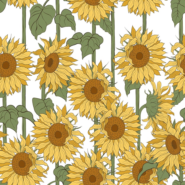 Patrón sin costuras con girasoles en tallos largos Ilustración de vector dibujado a mano