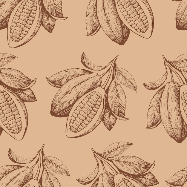 Patrón sin costuras con granos de cacao Ilustración vectorial monocromática dibujada a mano