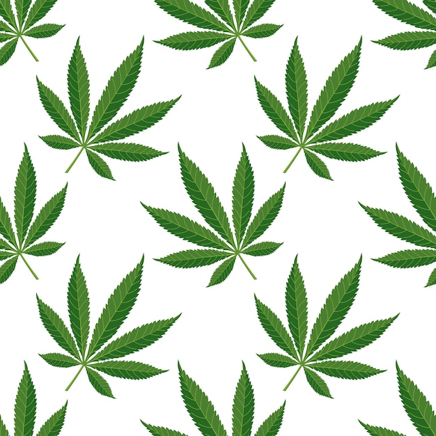 Patrón sin costuras de hojas de cáñamo Fondo de hojas de cannabis en un fondo blanco Vector de impresión.