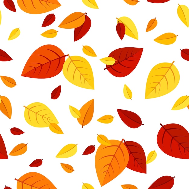 Patrón sin costuras con hojas de otoño de varios colores sobre un fondo blanco