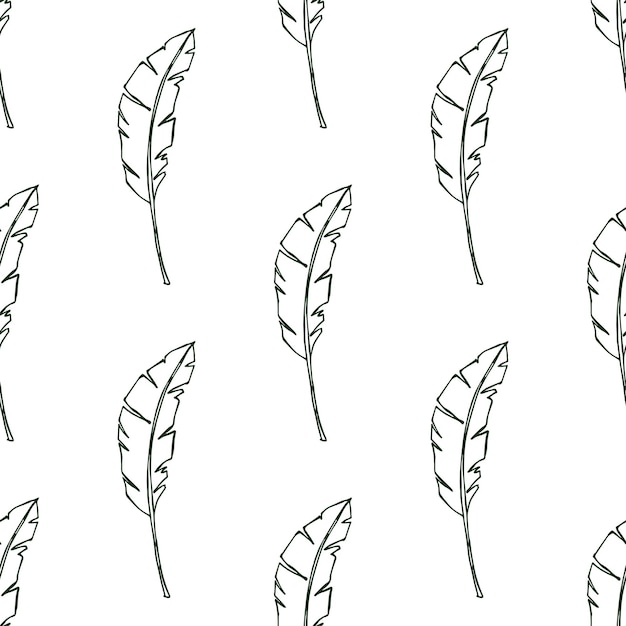 Patrón sin costuras con hojas tropicales garabateo para impresión decorativa papel de embalaje tarjetas de felicitación papel tapiz y tela
