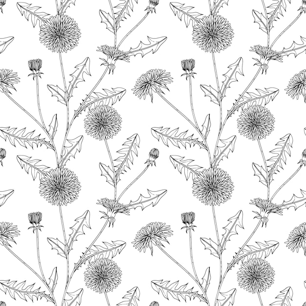 Patrón sin costuras Ilustración de dibujado a mano floral de diente de León de patrones sin fisuras con arte lineal sobre fondos blancos.
