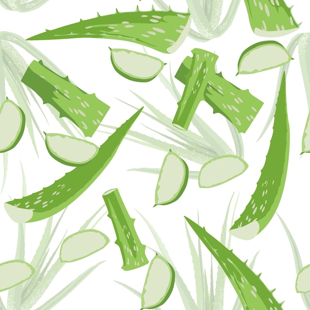 Un patrón sin costuras de la ilustración vectorial del aloe vera