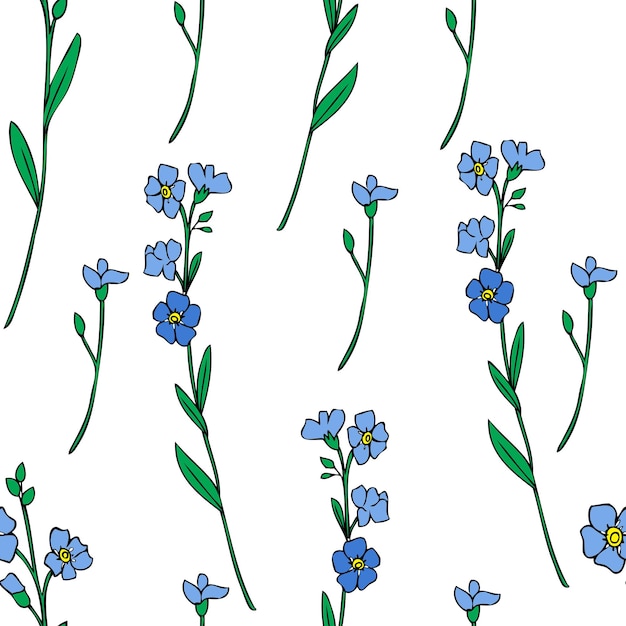Patrón sin costuras Ilustración vectorial de flores Forgetmenot aislada sobre un fondo blanco