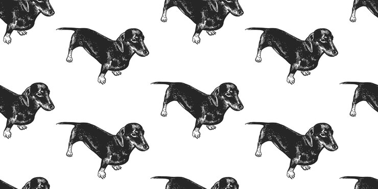Vector patrón sin costuras con lindos cachorros de dachshund