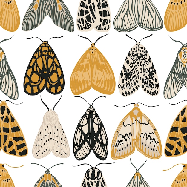 Patrón sin costuras mariposas nocturnas de colores ilustración vectorial